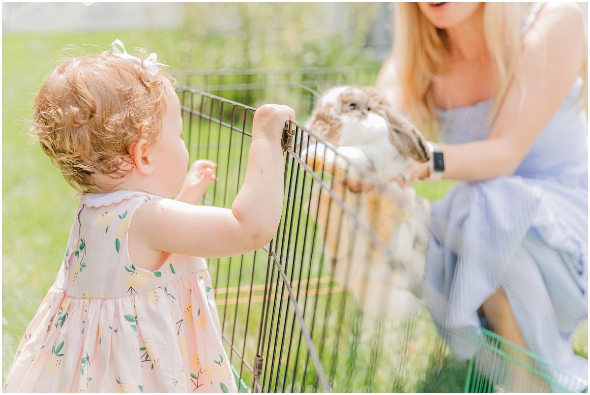 Little girl looking at rabbit