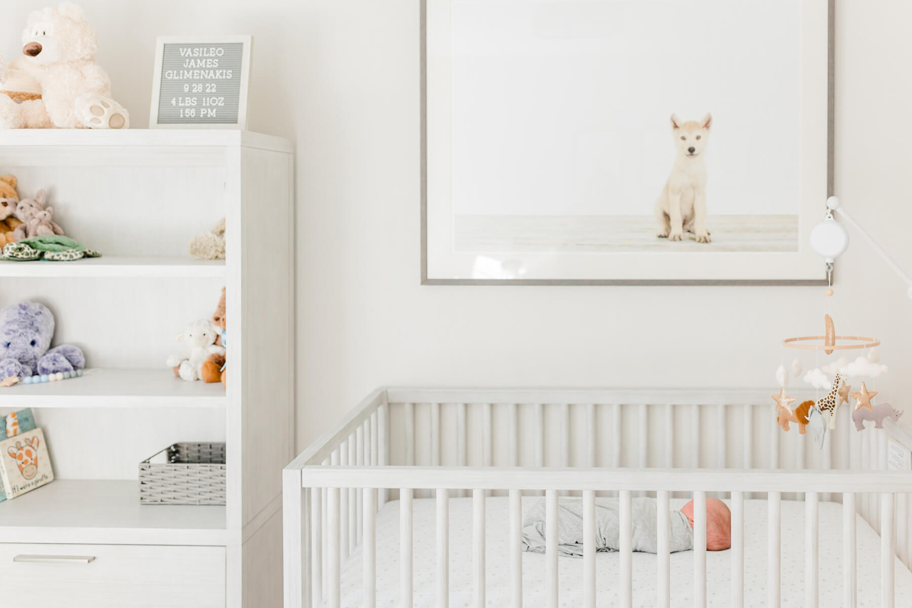 A newborn baby sleeps in their white animal themed nursery and crib Cambridge baby stores